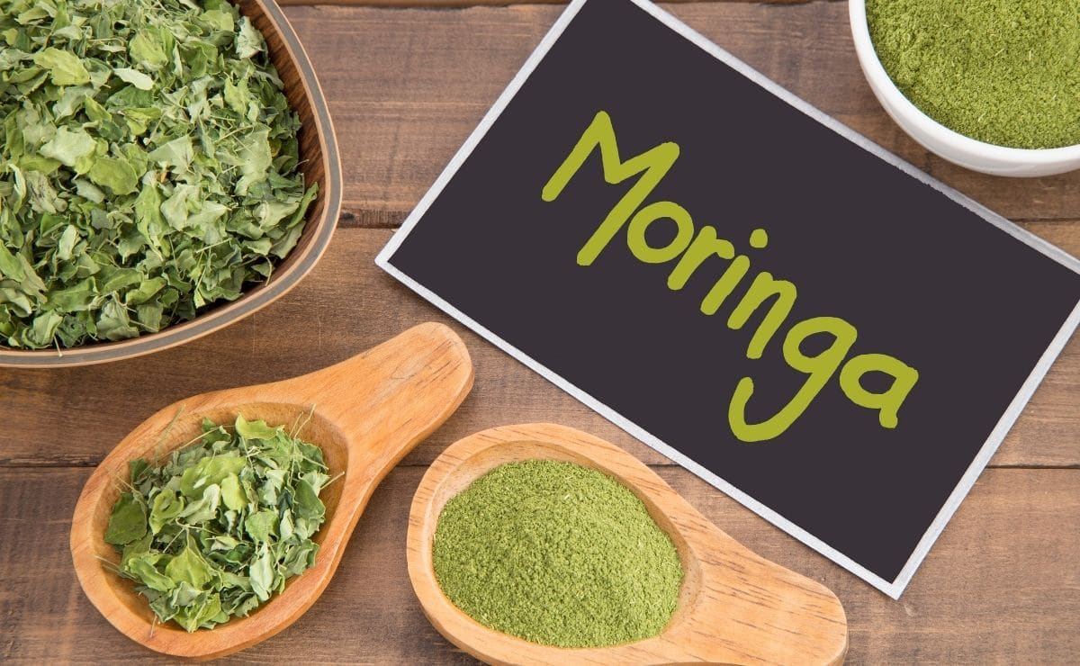 these-are-the-contraindications-of-consuming-moringa