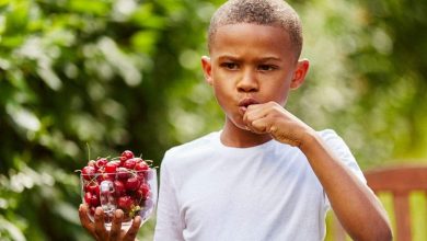 Photo of Eating cherries helps improve the functioning of the immune system