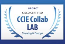 What is the CCIE Collaboration's Scope