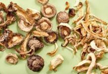 Dried Mushrooms: Consumption of Dried Mushrooms